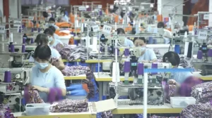 Sewing workers at custom apparel factory production line stitching garments